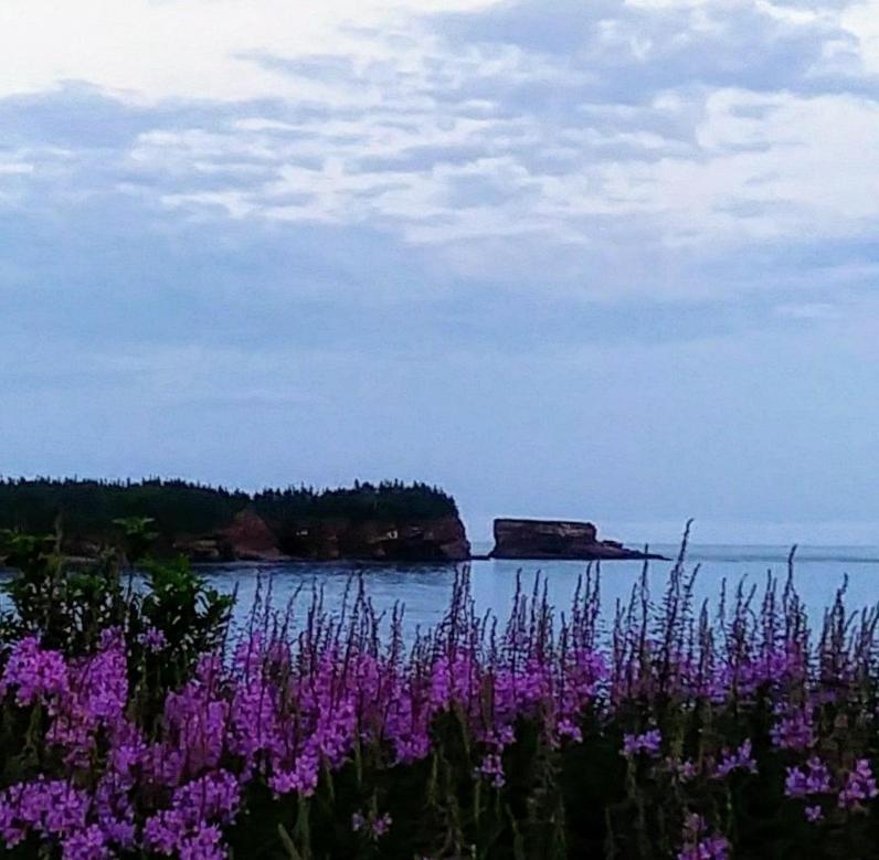 Moore'S Specialties Fundy Bay House Rental Gardner Creek Экстерьер фото