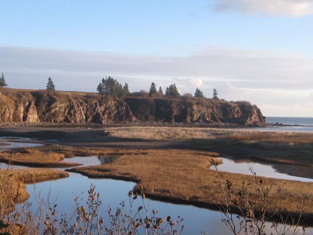 Moore'S Specialties Fundy Bay House Rental Gardner Creek Экстерьер фото