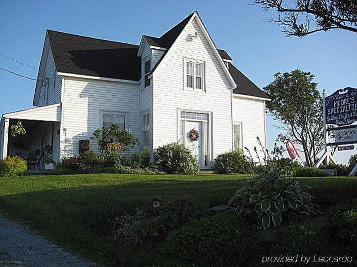 Moore'S Specialties Fundy Bay House Rental Gardner Creek Экстерьер фото