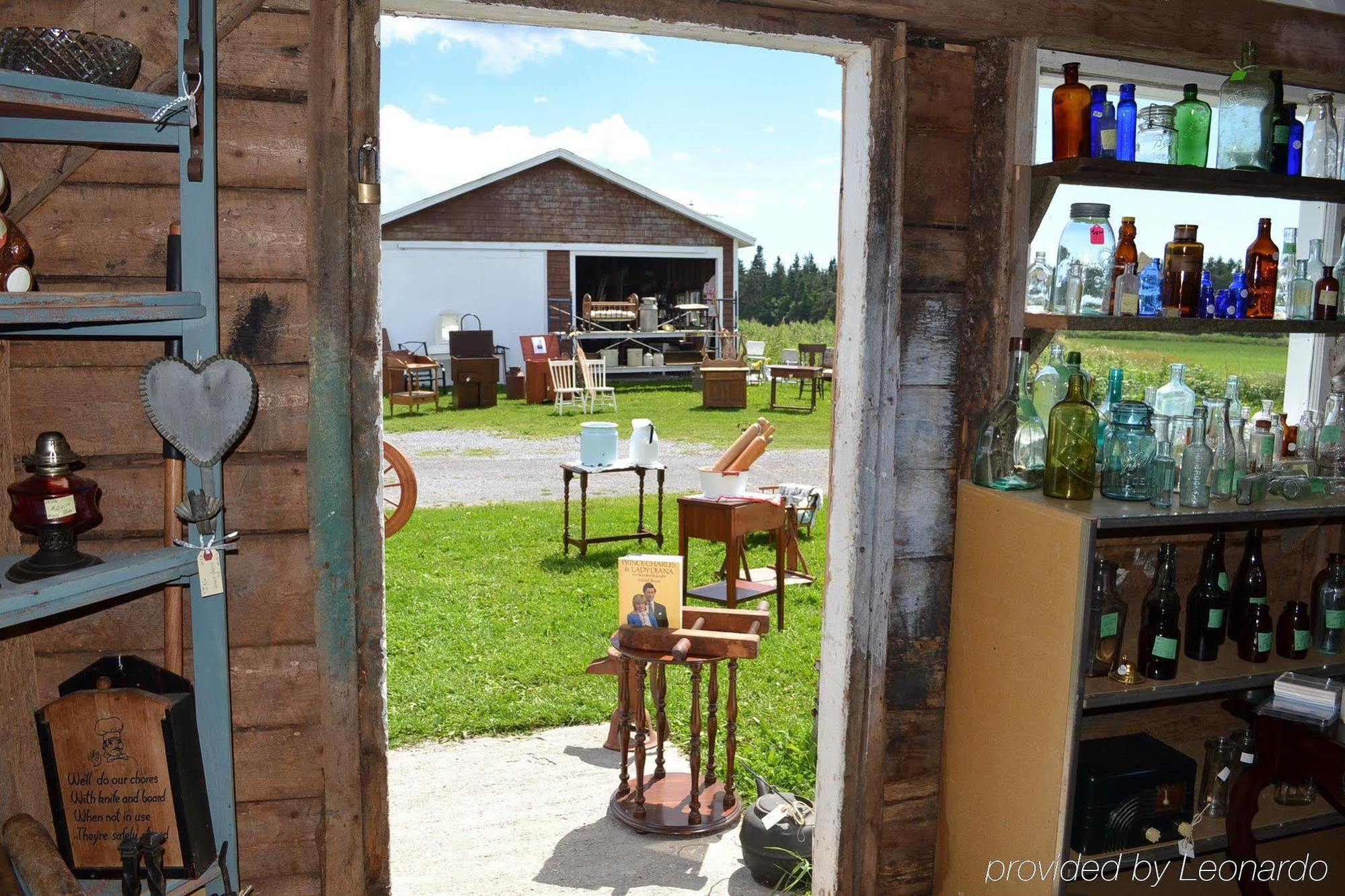 Moore'S Specialties Fundy Bay House Rental Gardner Creek Экстерьер фото