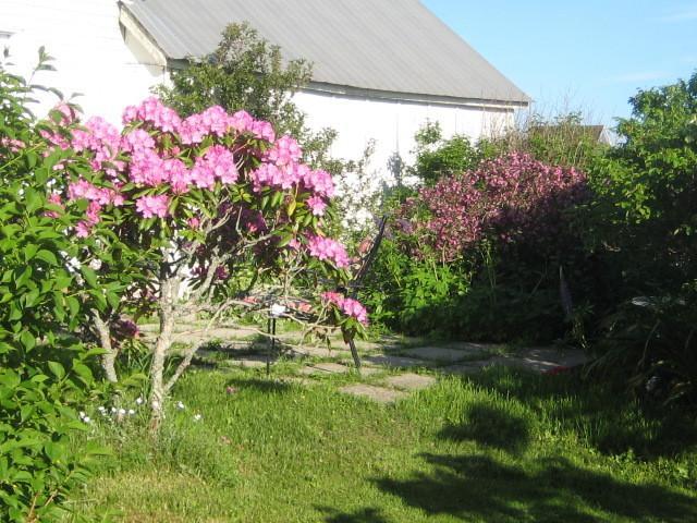 Moore'S Specialties Fundy Bay House Rental Gardner Creek Экстерьер фото