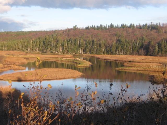Moore'S Specialties Fundy Bay House Rental Gardner Creek Экстерьер фото