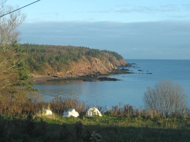 Moore'S Specialties Fundy Bay House Rental Gardner Creek Экстерьер фото